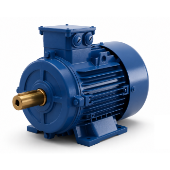 IE3 Motors