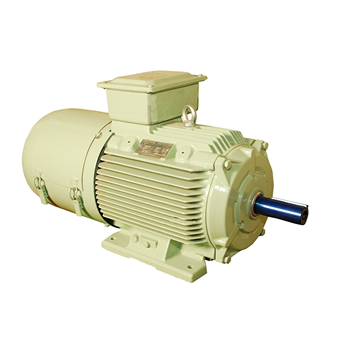 Crompton Greaves Crane Duty Motors in Ahmedabad 