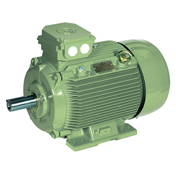 Crompton Greaves Crusher Duty Motors in Ahmedabad, Gujarat, India