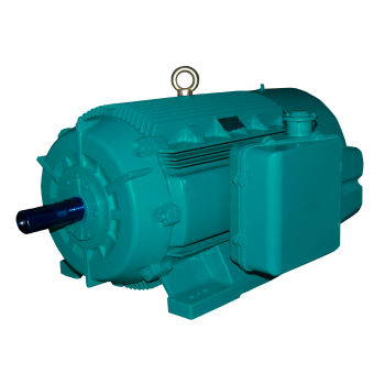 Crompton Greaves IE2 Motors Supplier in Ahmedabad